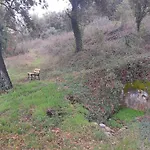 Apartamento Au Calme Les Hirondelles