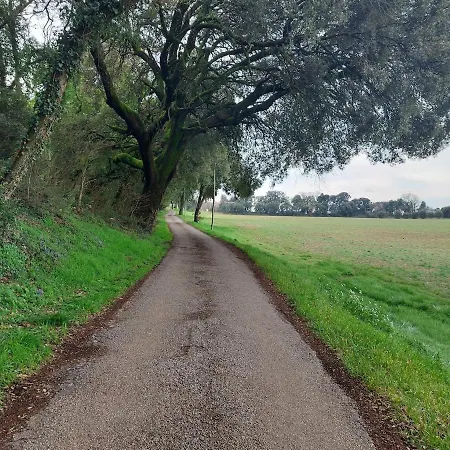 Au Calme Les Hirondelles Apartamento *