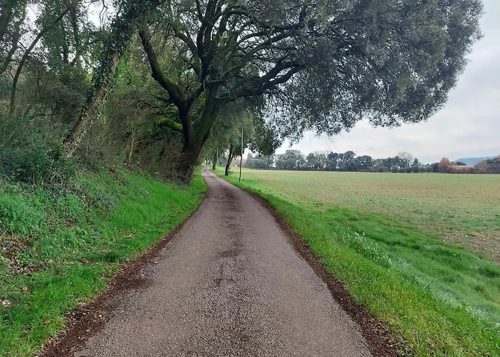 Au Calme Les Hirondelles Appartement *